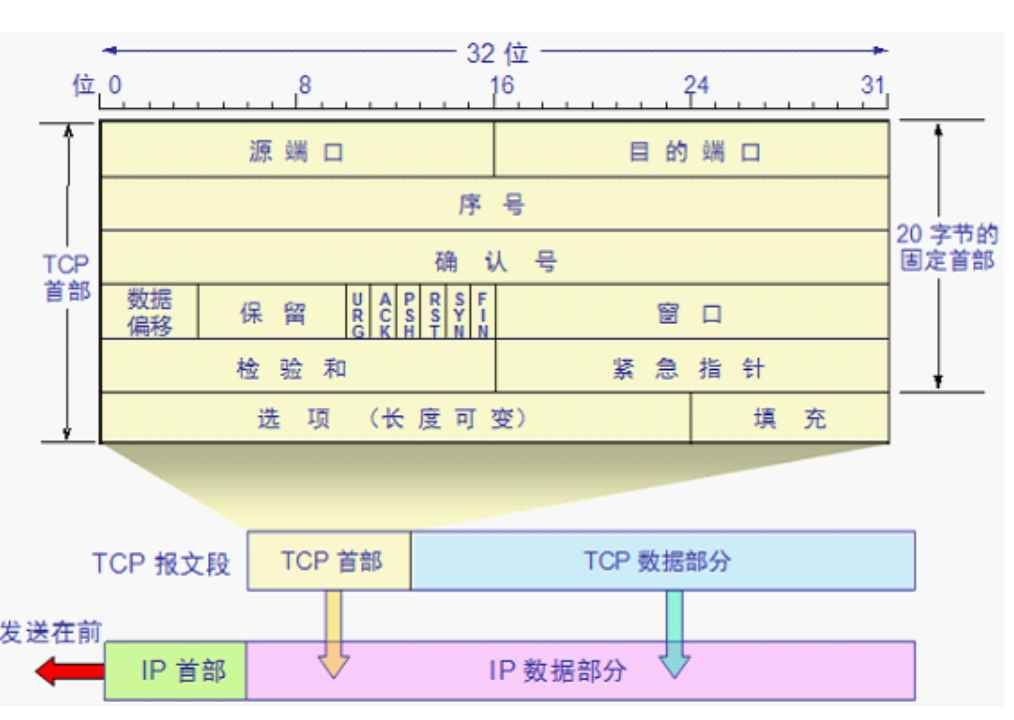 TCP传输数据的组成